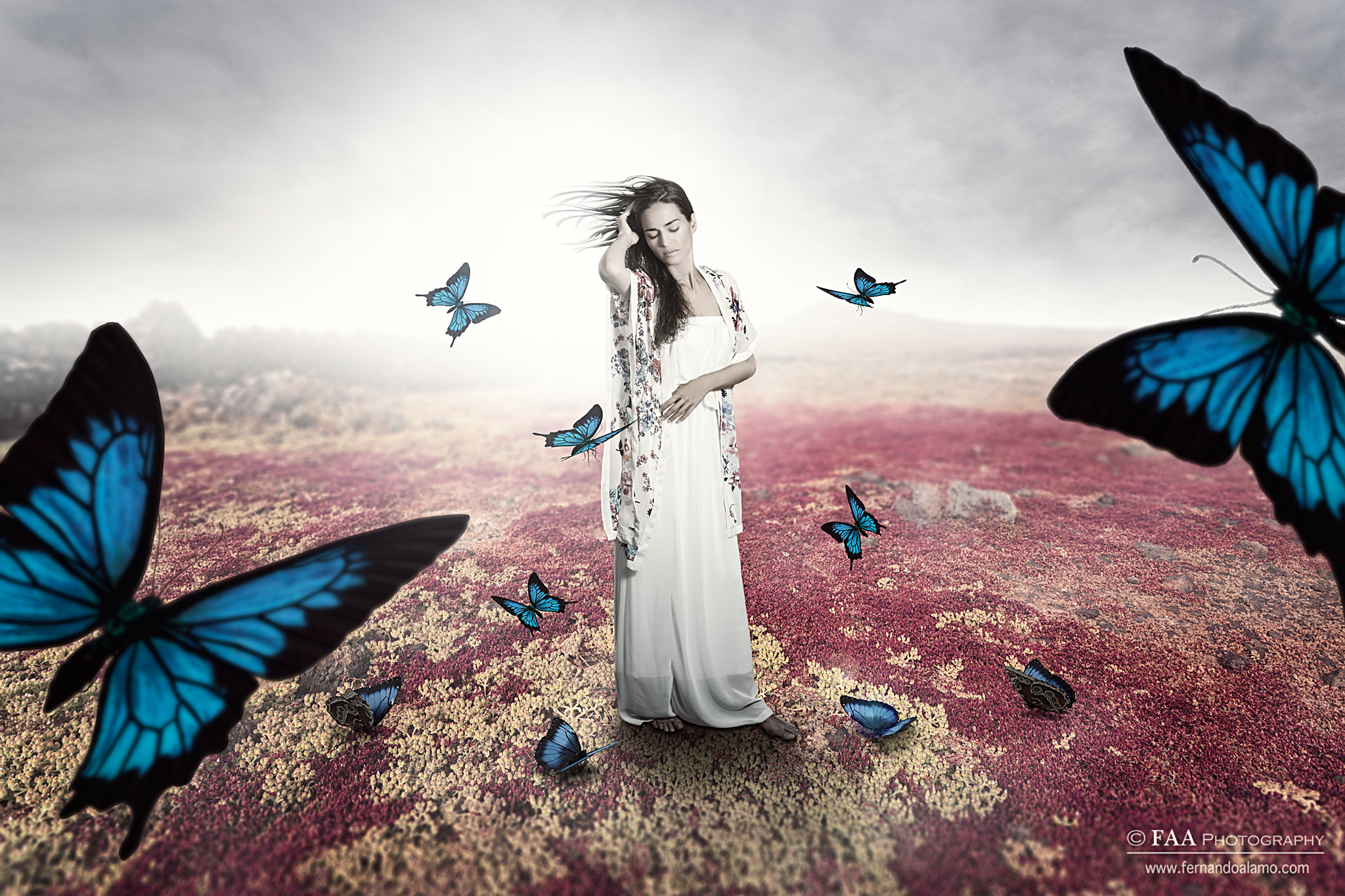 Isabel y las Mariposas