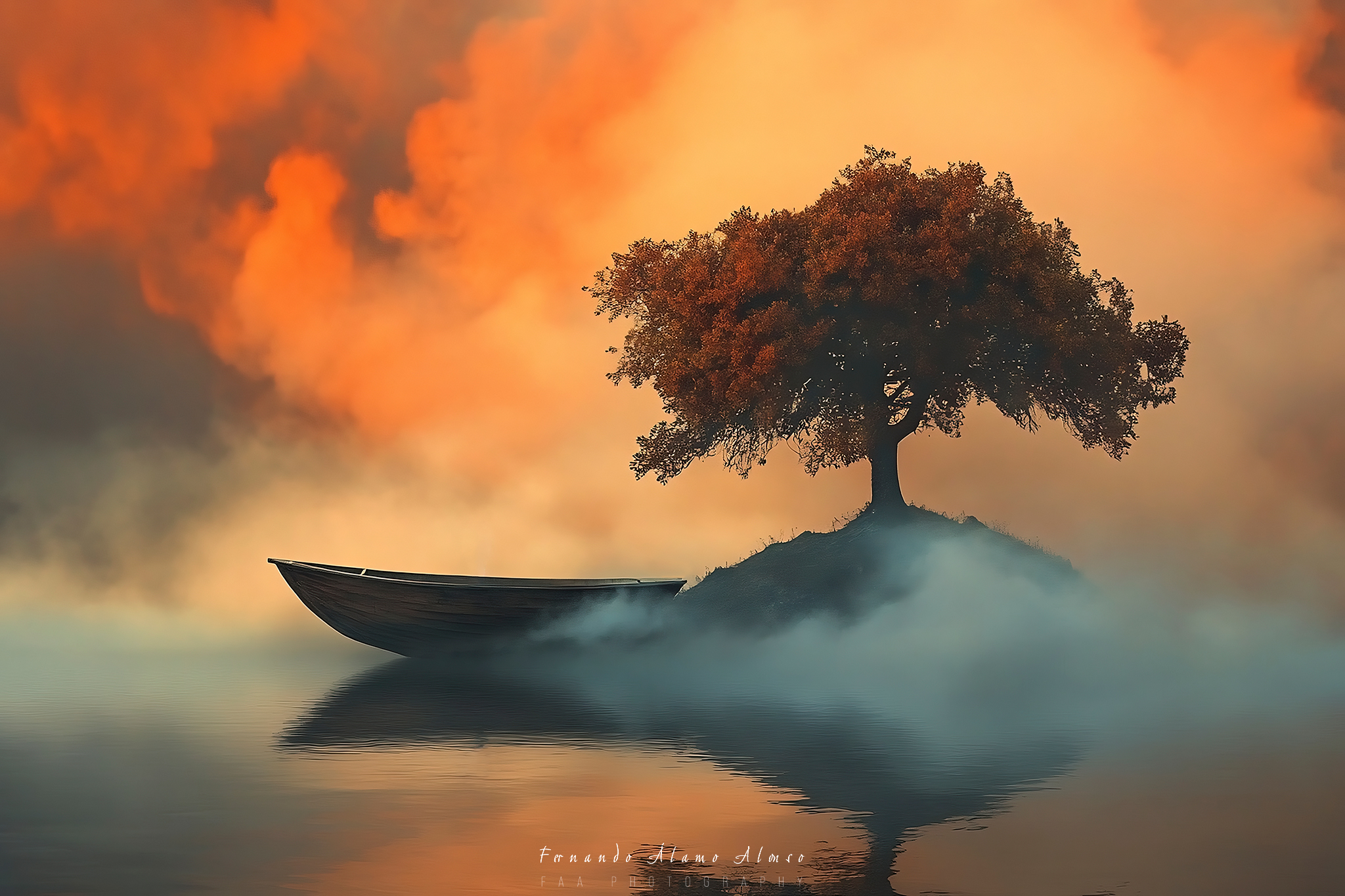 Barca sobre el Agua Junto a Árbol Caras Ionut