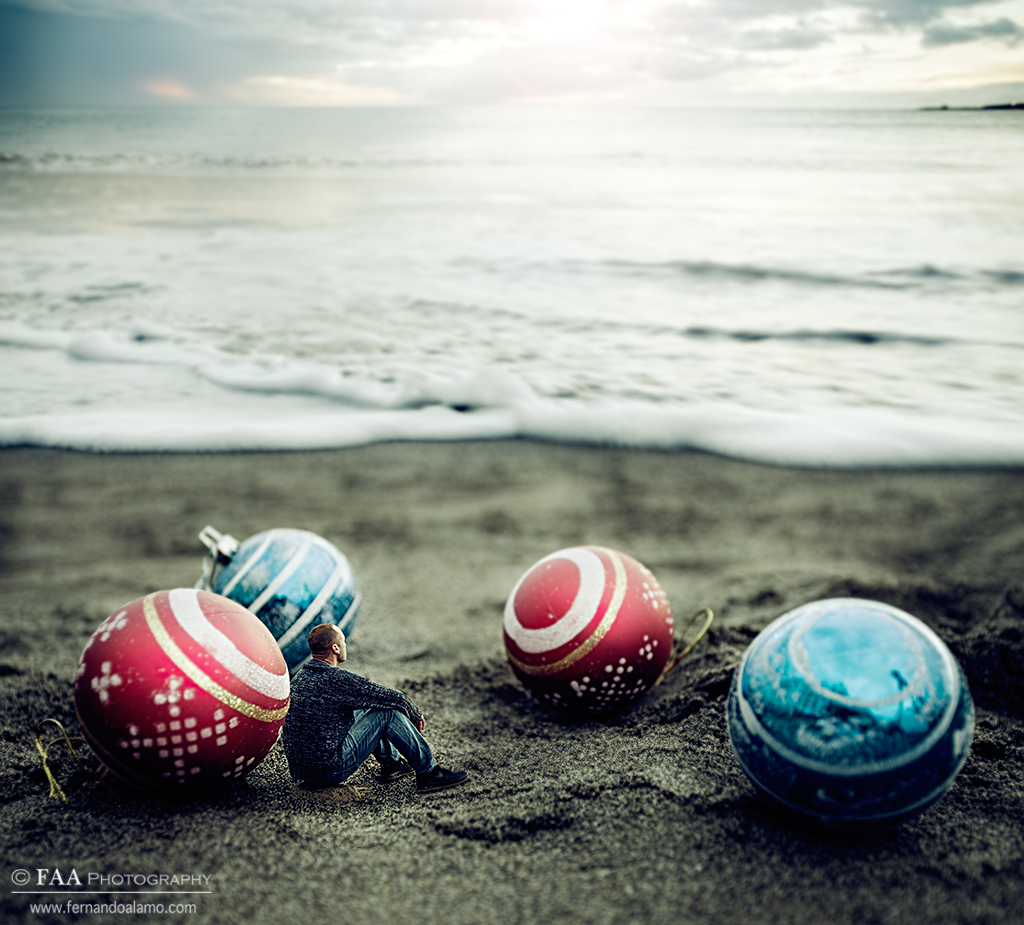 Canary Christmas