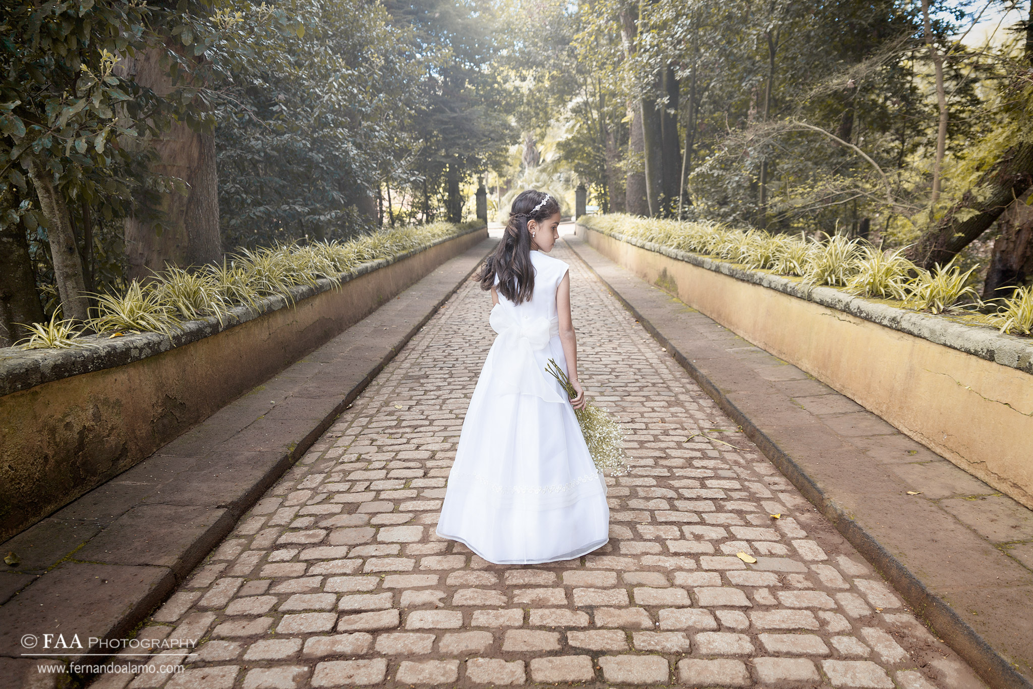 Comunion Anjana XI