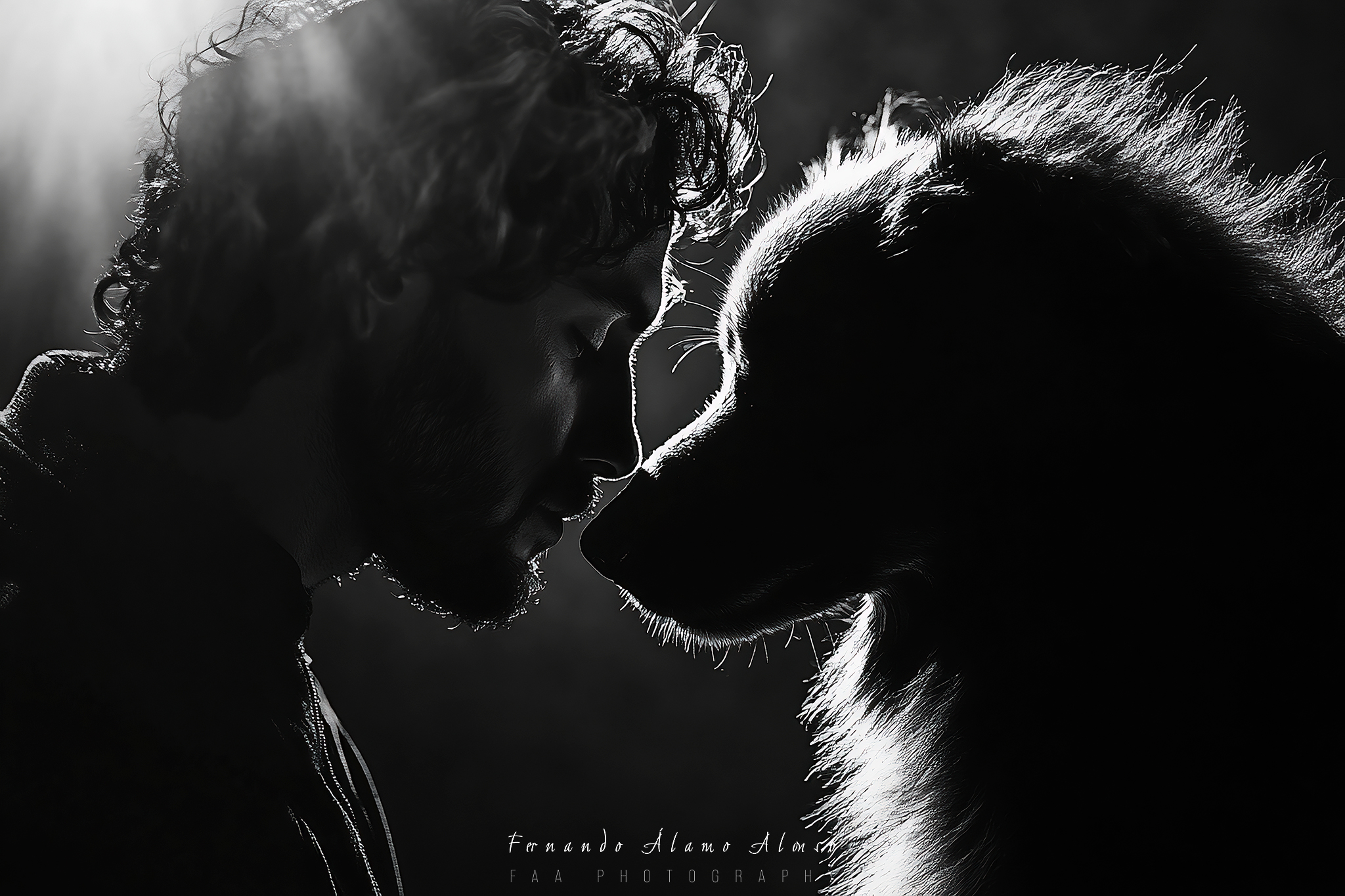 El Hombre y su Perro I