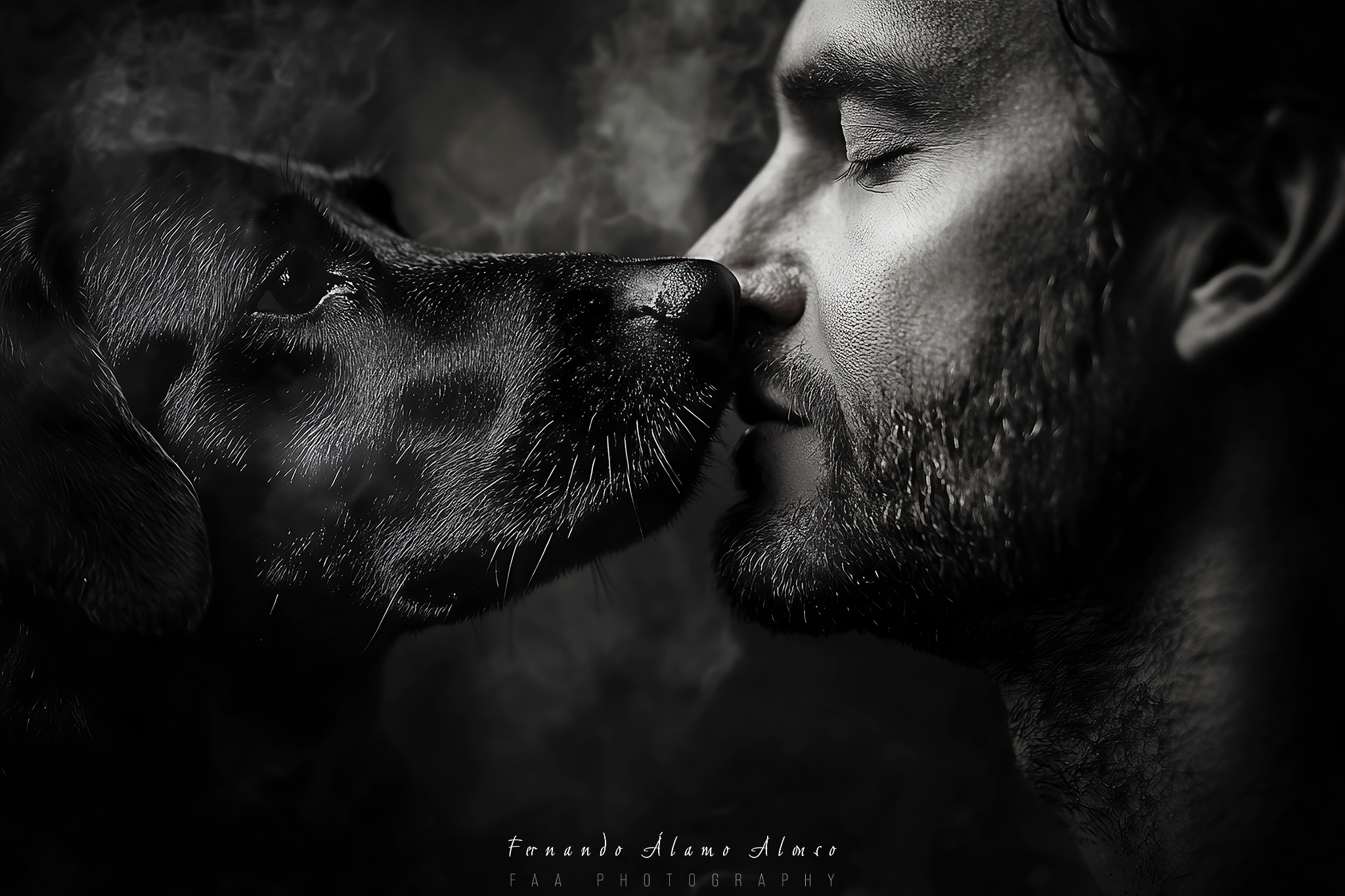 El Hombre y su Perro II