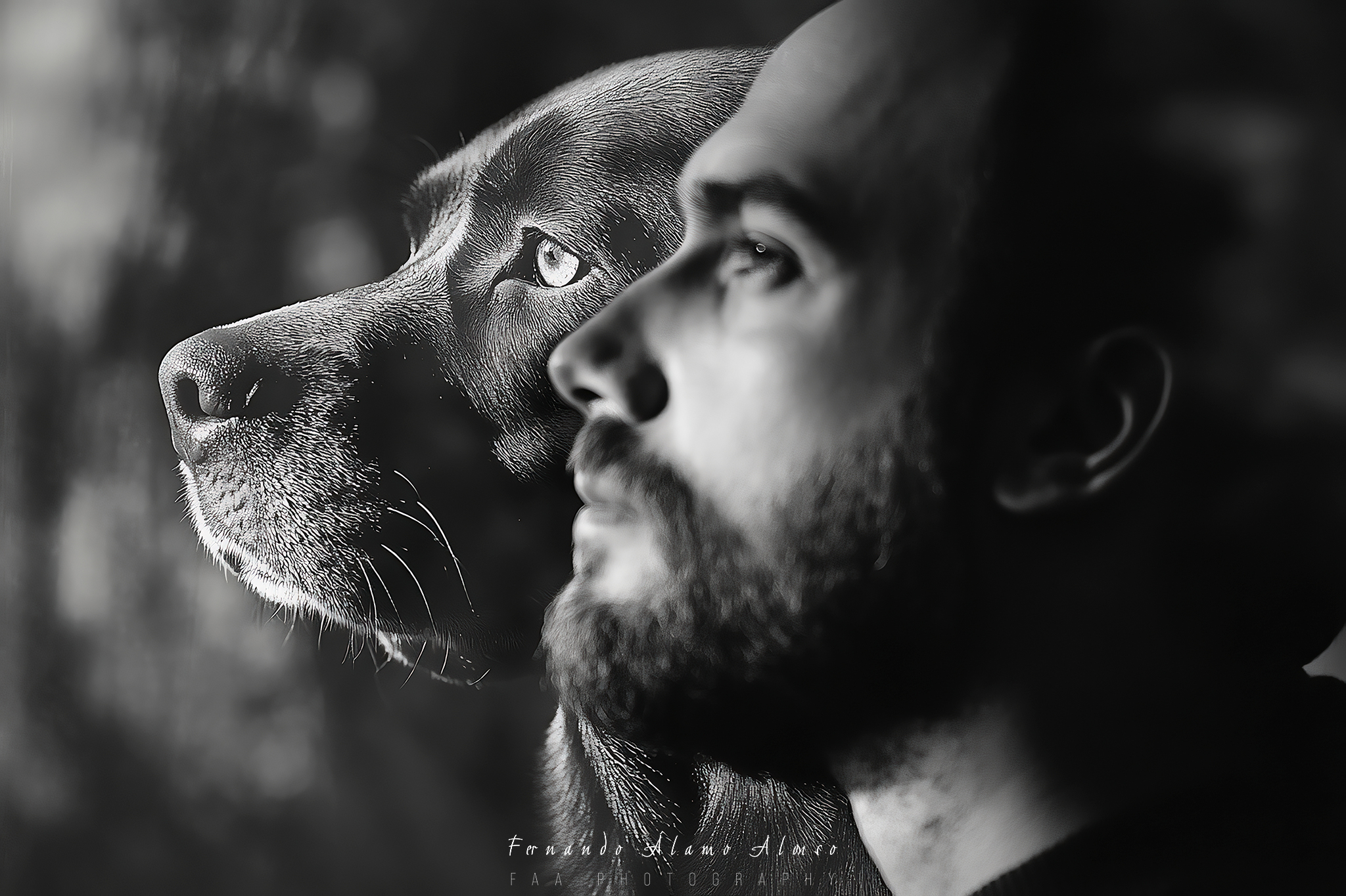 El Hombre y su Perro III