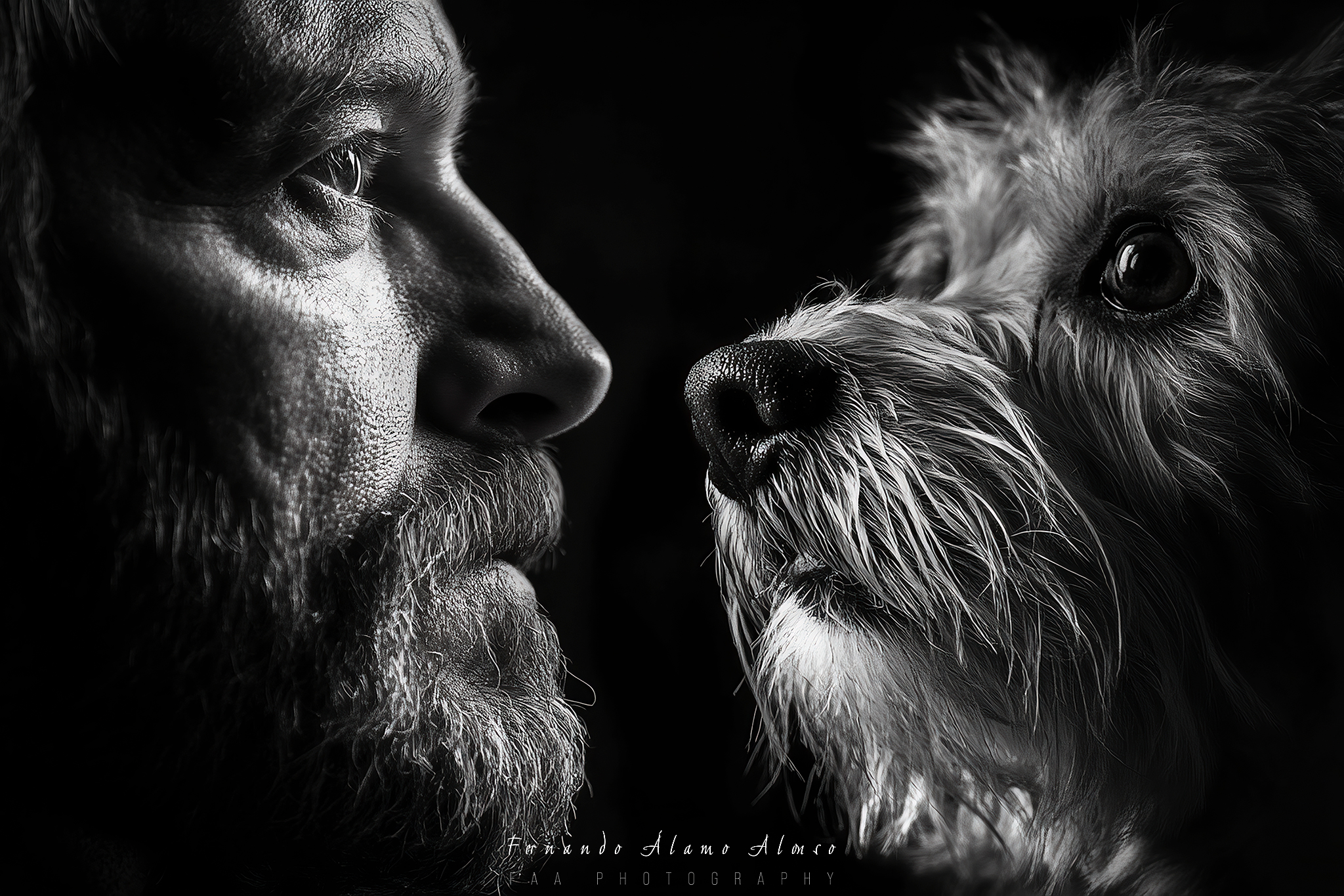 El Hombre y su Perro IV