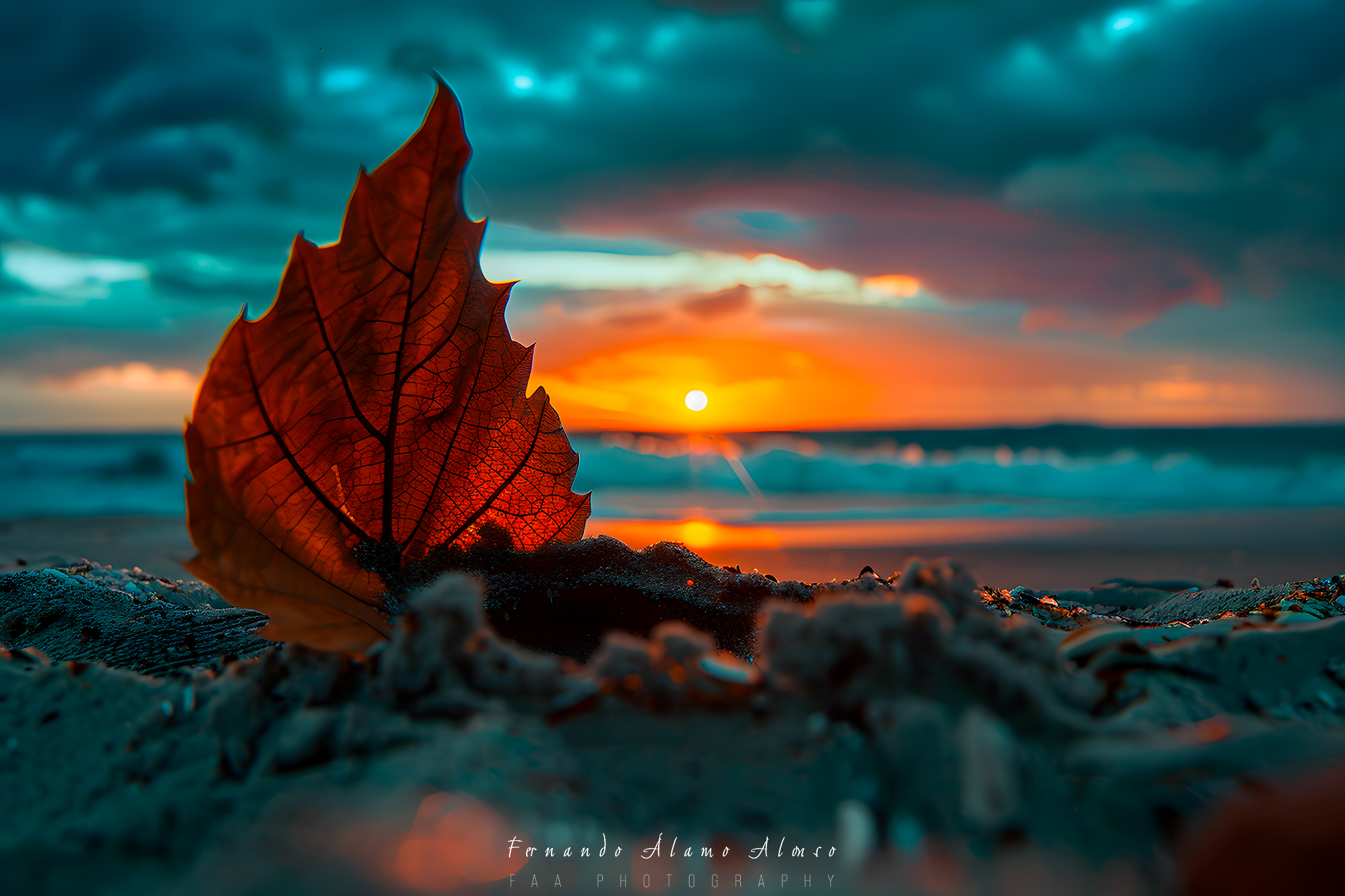 Hoja en la Playa II Upscayl 4X Realesrgan X4Plus
