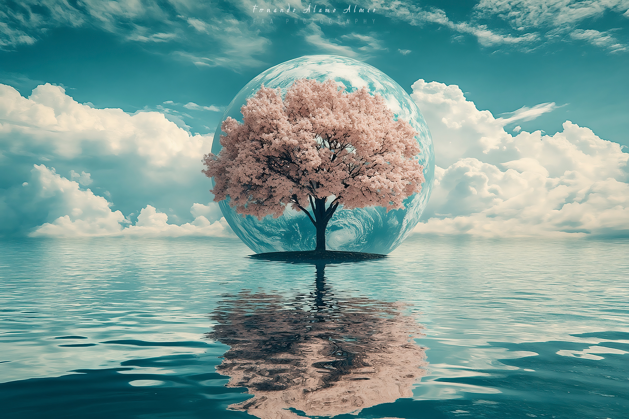 La Tierra con Arbol sobre Agua Caras Ionut