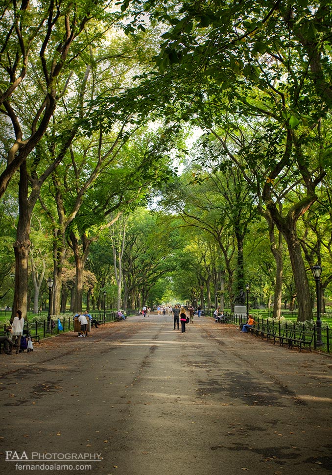New York Central Park II
