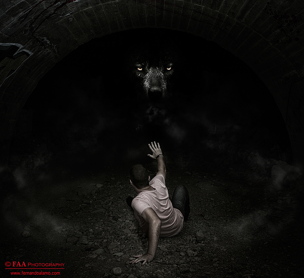 Wolf – Fernandoalamo.com