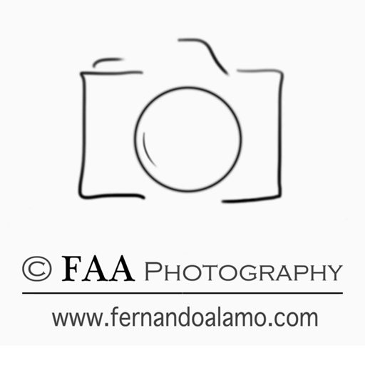 Cropped Logo Pagina Web Mejorado Reducido