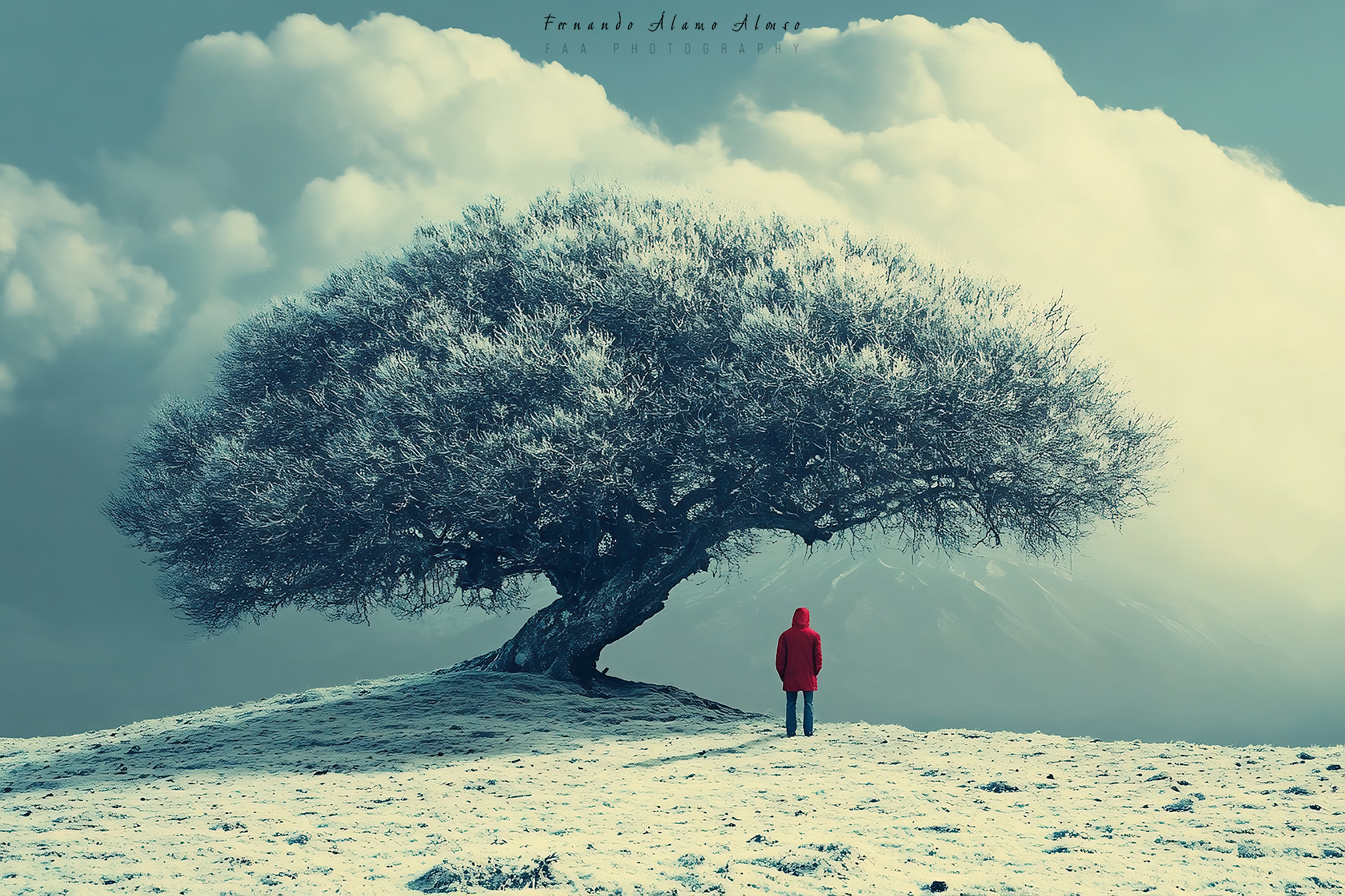Hombre con Abrigo Rojo Junto a Árbol Invernal